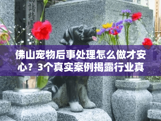 佛山宠物后事处理怎么做才安心？3个真实案例揭露行业真相