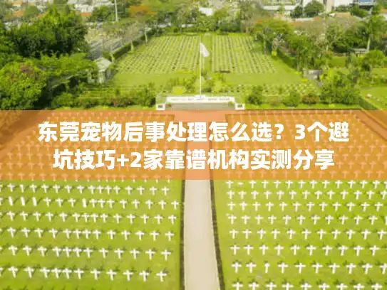 东莞宠物后事处理怎么选？3个避坑技巧+2家靠谱机构实测分享