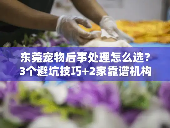 东莞宠物后事处理怎么选？3个避坑技巧+2家靠谱机构实测分享