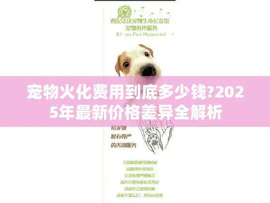 宠物火化费用到底多少钱?2025年最新价格差异全解析 宠物火化费用到底多少钱?2025年最新价格差异全解析