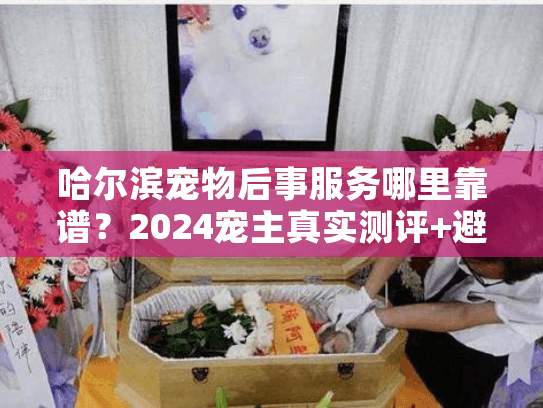 哈尔滨宠物后事服务哪里靠谱？2024宠主真实测评+避坑清单