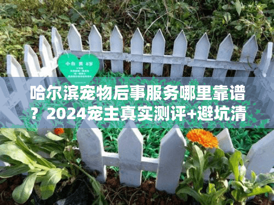 哈尔滨宠物后事服务哪里靠谱？2024宠主真实测评+避坑清单