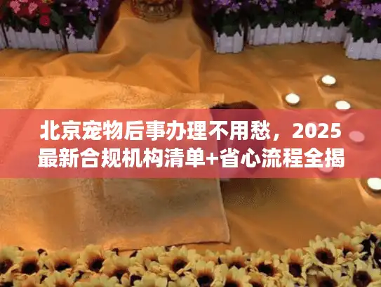 北京宠物后事办理不用愁，2025最新合规机构清单+省心流程全揭秘