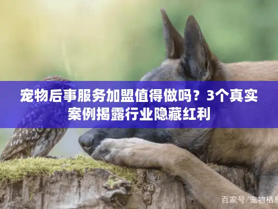 宠物后事服务加盟值得做吗？3个真实案例揭露行业隐藏红利