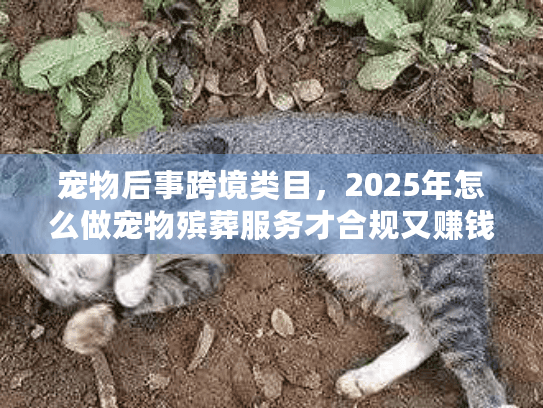 宠物后事跨境类目，2025年怎么做宠物殡葬服务才合规又赚钱？实战案例拆解）