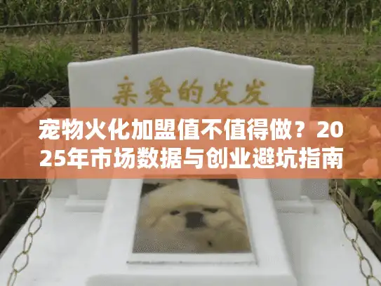 宠物火化加盟值不值得做？2025年市场数据与创业避坑指南
