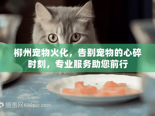 柳州宠物火化，告别宠物的心碎时刻，专业服务助您前行