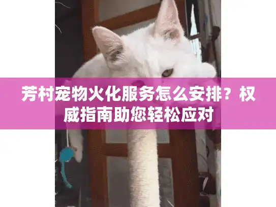 芳村宠物火化服务怎么安排？权威指南助您轻松应对