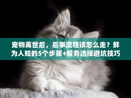 宠物离世后，后事流程该怎么走？鲜为人知的5个步骤+服务选择避坑技巧