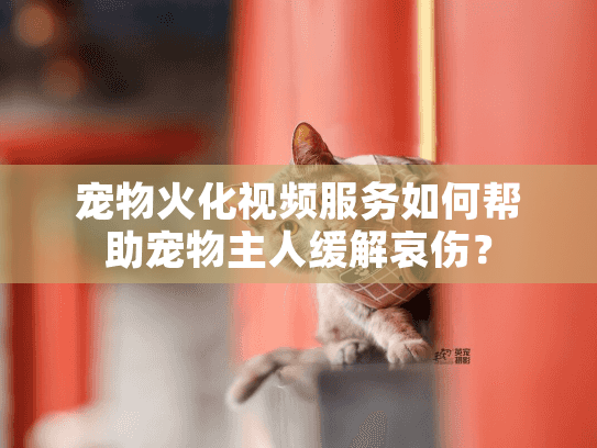 宠物火化视频服务如何帮助宠物主人缓解哀伤？