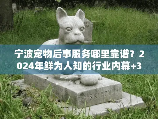 宁波宠物后事服务哪里靠谱？2024年鲜为人知的行业内幕+3个真实家庭选择经验
