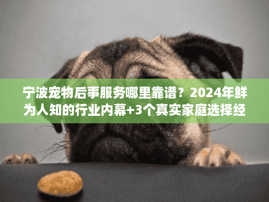 宁波宠物后事服务哪里靠谱？2024年鲜为人知的行业内幕+3个真实家庭选择经验