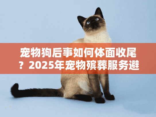 宠物狗后事如何体面收尾？2025年宠物殡葬服务避坑技巧+3个稀缺纪念方案