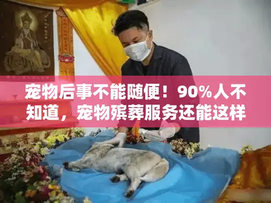 宠物后事不能随便！90%人不知道，宠物殡葬服务还能这样选（2025最新）