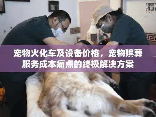 宠物火化车及设备价格，宠物殡葬服务成本痛点的终极解决方案