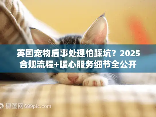 英国宠物后事处理怕踩坑?2025合规流程+暖心服务细节全公开 英国宠物后事处理怕踩坑?2025合规流程+暖心服务细节全公开