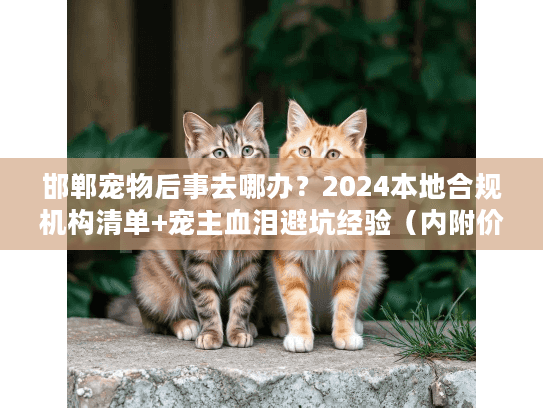 邯郸宠物后事去哪办？2024本地合规机构清单+宠主血泪避坑经验（内附价格表）