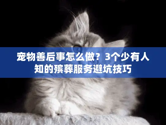 宠物善后事怎么做？3个少有人知的殡葬服务避坑技巧