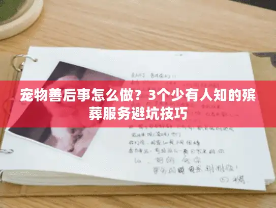 宠物善后事怎么做？3个少有人知的殡葬服务避坑技巧