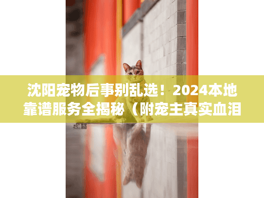 沈阳宠物后事别乱选！2024本地靠谱服务全揭秘（附宠主真实血泪教训）