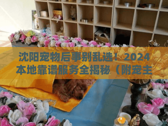 沈阳宠物后事别乱选！2024本地靠谱服务全揭秘（附宠主真实血泪教训）