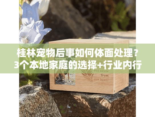 桂林宠物后事如何体面处理？3个本地家庭的选择+行业内行人揭秘