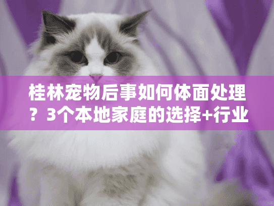 桂林宠物后事如何体面处理？3个本地家庭的选择+行业内行人揭秘