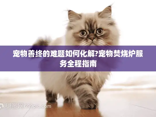 宠物善终的难题如何化解?宠物焚烧炉服务全程指南