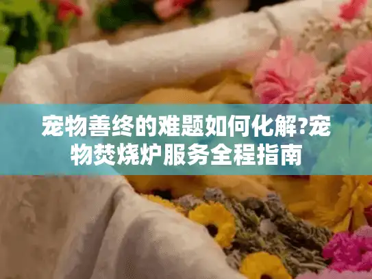宠物善终的难题如何化解?宠物焚烧炉服务全程指南