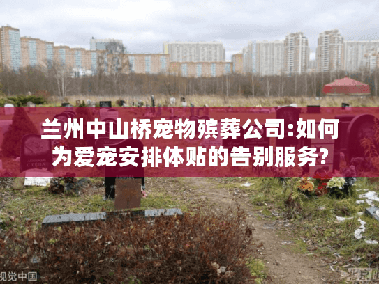 兰州中山桥宠物殡葬公司:如何为爱宠安排体贴的告别服务?
