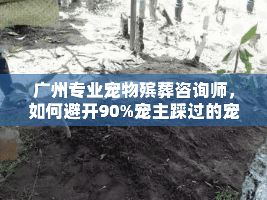 广州专业宠物殡葬咨询师，如何避开90%宠主踩过的宠物殡葬服务坑？
