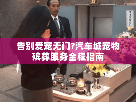 告别爱宠无门?汽车城宠物殡葬服务全程指南