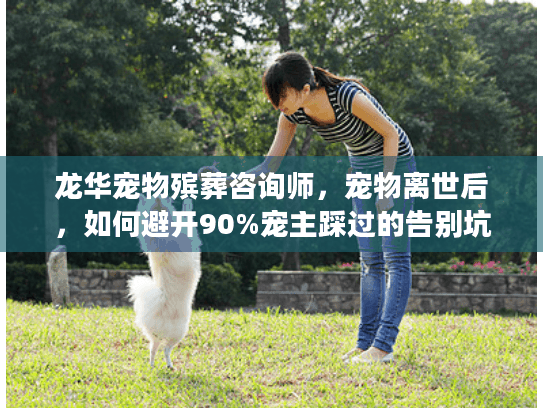 龙华宠物殡葬咨询师，宠物离世后，如何避开90%宠主踩过的告别坑？