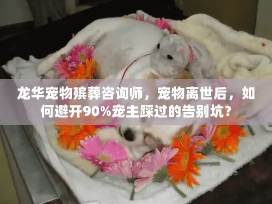龙华宠物殡葬咨询师，宠物离世后，如何避开90%宠主踩过的告别坑？