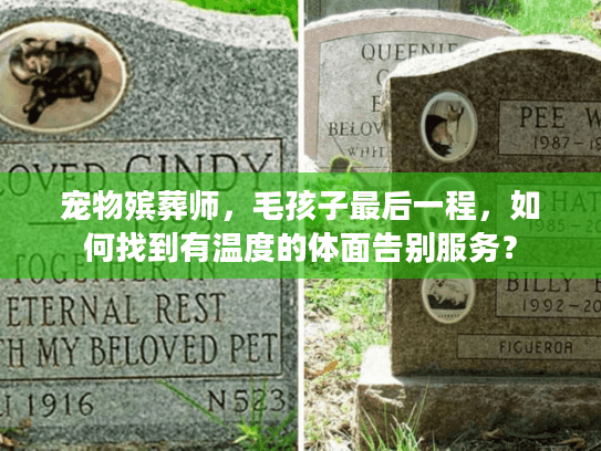 宠物殡葬师，毛孩子最后一程，如何找到有温度的体面告别服务？