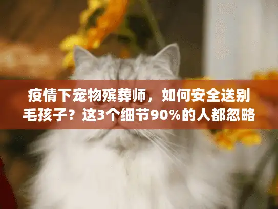 疫情下宠物殡葬师，如何安全送别毛孩子？这3个细节90%的人都忽略了