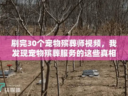刷完30个宠物殡葬师视频，我发现宠物殡葬服务的这些真相90%的人都不知道