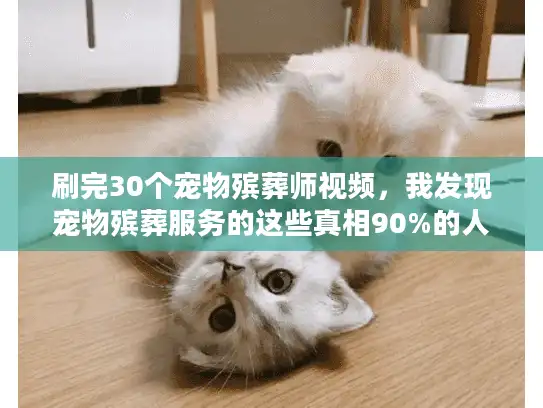 刷完30个宠物殡葬师视频，我发现宠物殡葬服务的这些真相90%的人都不知道