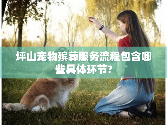 坪山宠物殡葬服务流程包含哪些具体环节?