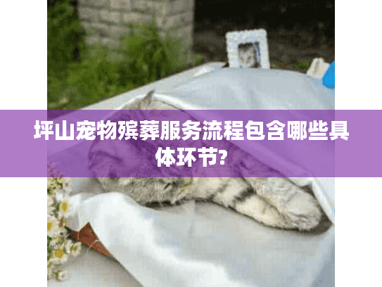 坪山宠物殡葬服务流程包含哪些具体环节?