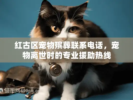 红古区宠物殡葬联系电话，宠物离世时的专业援助热线
