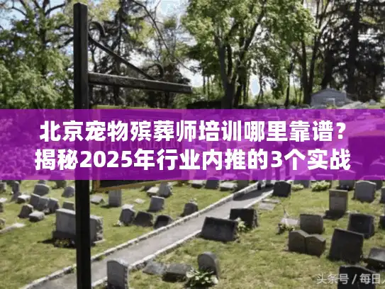 北京宠物殡葬师培训哪里靠谱？揭秘2025年行业内推的3个实战课程