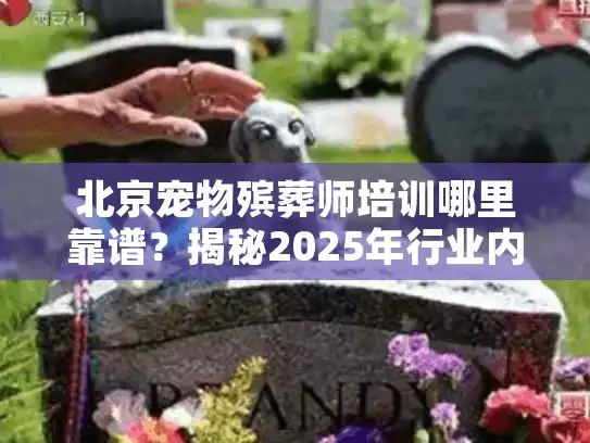 北京宠物殡葬师培训哪里靠谱？揭秘2025年行业内推的3个实战课程