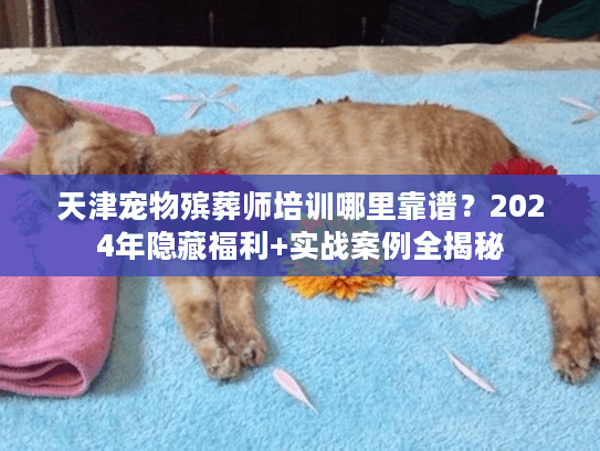 天津宠物殡葬师培训哪里靠谱？2024年隐藏福利+实战案例全揭秘