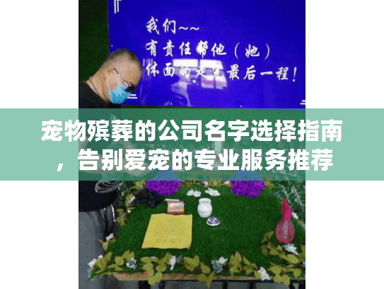 宠物殡葬的公司名字选择指南，告别爱宠的专业服务推荐