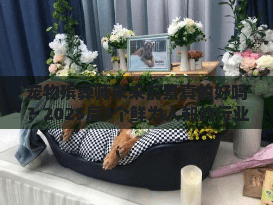 宠物殡葬师未来前景真的好吗？2025后3个鲜为人知的行业趋势与赚钱机会