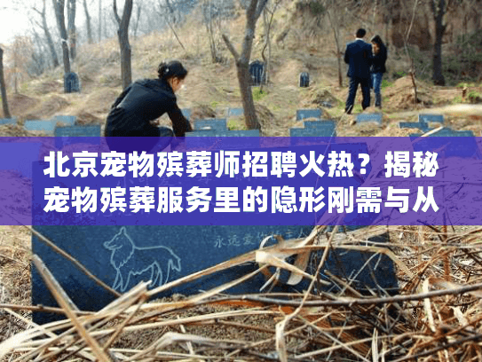 北京宠物殡葬师招聘火热？揭秘宠物殡葬服务里的隐形刚需与从业者真实生活