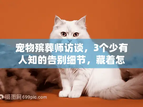 宠物殡葬师访谈，3个少有人知的告别细节，藏着怎样的行业真相？