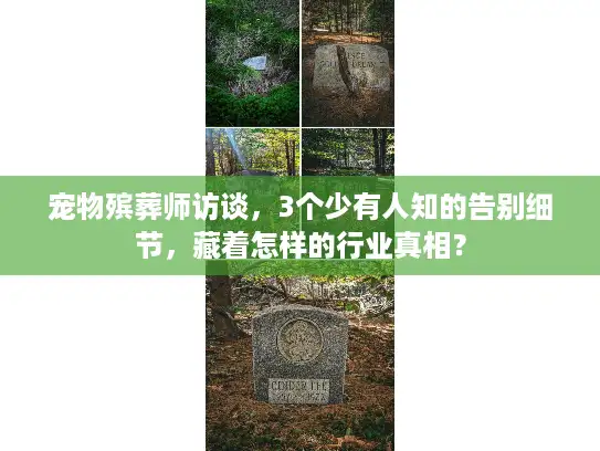 宠物殡葬师访谈，3个少有人知的告别细节，藏着怎样的行业真相？