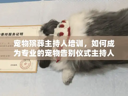 宠物殡葬主持人培训，如何成为专业的宠物告别仪式主持人？